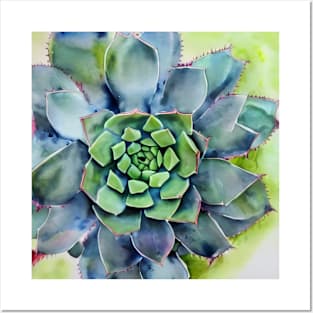 Watercolor succulent Posters and Art